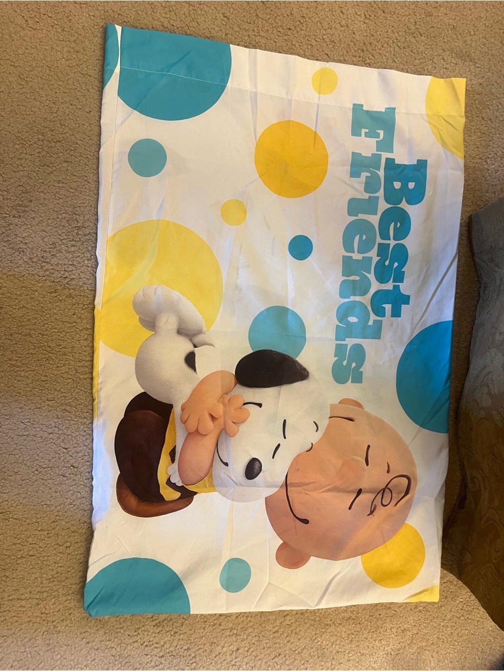 Peanuts 'Best Friends'  Pillowcase Snoopy Charlie Brown-Like New